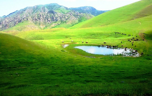 Moghan Plain
